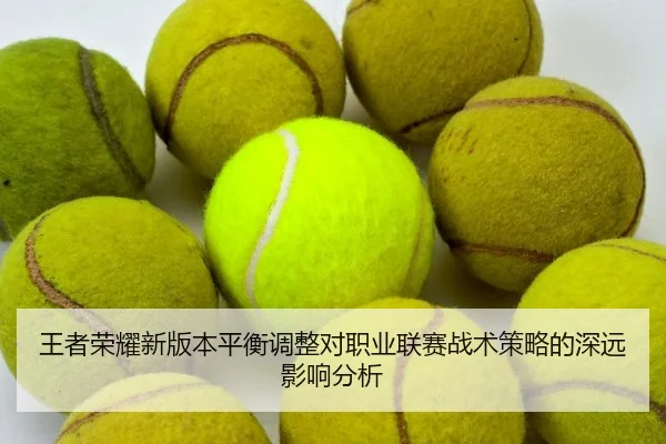 wang-zhe-rong-yao-xin-ban-ben-ping-heng-tiao-zheng-dui-zhi-ye-lian-sai-zhan-shu-ce-lve-de-shen-yuan-ying-xiang-fen-xi-1-310.jpg