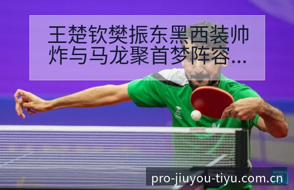 王楚钦樊振东黑西装帅炸与马龙聚首梦阵容调整对排名变化的深 - 九游体育APP